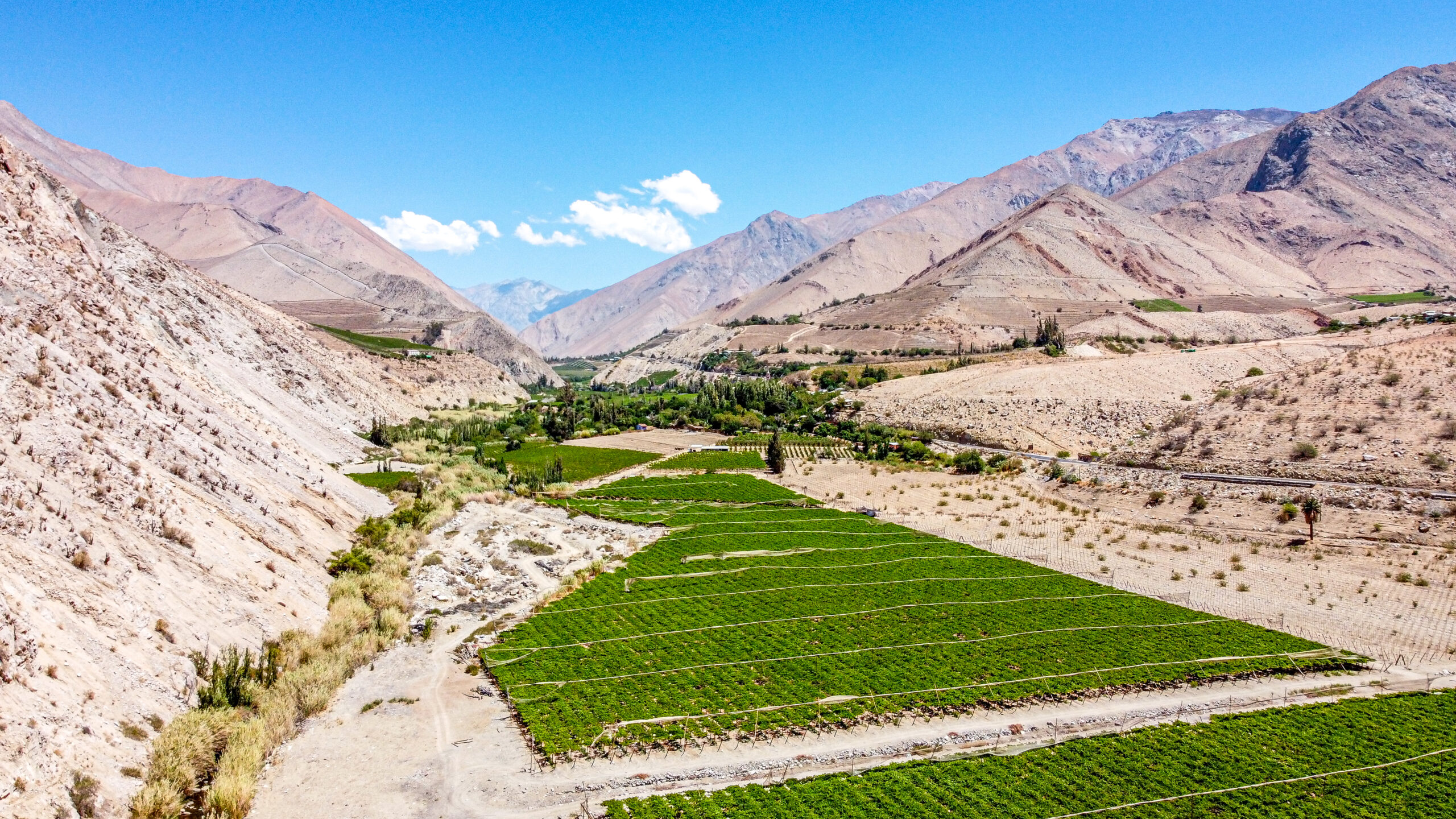 Valle del Elqui